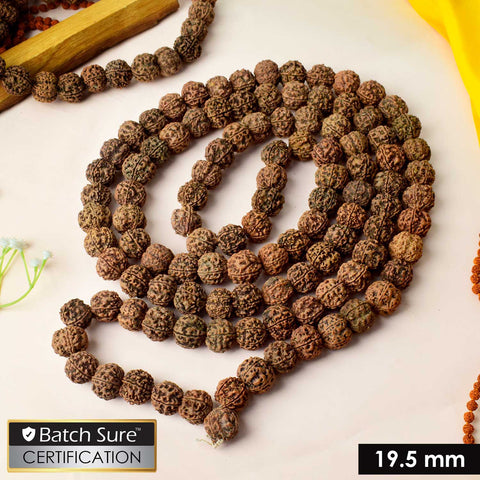 5 Mukhi Special Kantha Rudraksha mala featuring premium five-faced Rudraksha beads, designed for spiritual balance, meditation, and holistic healing. India’s Premium Jap Mala Store - www.satvikstore.in
