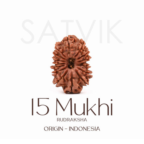 Certified 15 Mukhi Rudraksha Bead from Indonesia – Sacred natural bead representing Lord Pashupatinath, known for emotional healing, love, and spiritual elevation. India’s Largest Brass Idols Brand - www.satvikstore.in