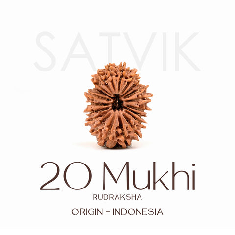Certified 20 Mukhi Rudraksha Bead – Indonesia origin divine bead symbolizing Lord Brahma, enhances creativity, wisdom, and spiritual consciousness. India’s Largest Brass Idols Brand - www.satvikstore.in