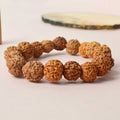Certified brown rudraksha bracelet with silver capping, worn for spiritual protection and healing. India’s Premium Rudraksha Jap Mala Store- www.satvikstore.in
