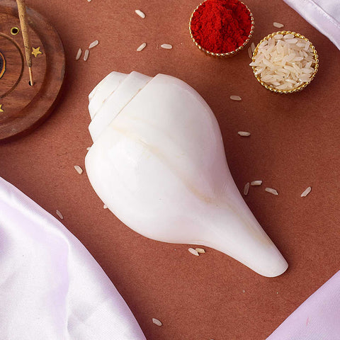 Natural 100% Original Vamavarti Shankha 5 Inch Blowing Conch for Pooja. India’s Largest Pooja Accessories Brand - www.satvikworld.com